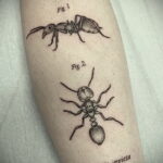 Фото пример рисунка татуировки с муравьем 21.03.2021 №001 - ant tattoo - tatufoto.com