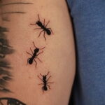 Фото пример рисунка татуировки с муравьем 21.03.2021 №005 - ant tattoo - tatufoto.com