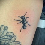 Фото пример рисунка татуировки с муравьем 21.03.2021 №006 - ant tattoo - tatufoto.com