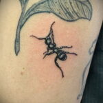 Фото пример рисунка татуировки с муравьем 21.03.2021 №007 - ant tattoo - tatufoto.com