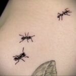 Фото пример рисунка татуировки с муравьем 21.03.2021 №009 - ant tattoo - tatufoto.com