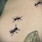 Фото пример рисунка татуировки с муравьем 21.03.2021 №010 - ant tattoo - tatufoto.com