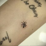 Фото пример рисунка татуировки с муравьем 21.03.2021 №013 - ant tattoo - tatufoto.com