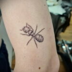 Фото пример рисунка татуировки с муравьем 21.03.2021 №022 - ant tattoo - tatufoto.com
