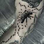 Фото пример рисунка татуировки с муравьем 21.03.2021 №031 - ant tattoo - tatufoto.com