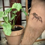 Фото пример рисунка татуировки с муравьем 21.03.2021 №032 - ant tattoo - tatufoto.com