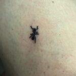 Фото пример рисунка татуировки с муравьем 21.03.2021 №036 - ant tattoo - tatufoto.com
