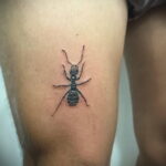 Фото пример рисунка татуировки с муравьем 21.03.2021 №040 - ant tattoo - tatufoto.com