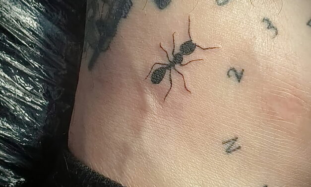 Рисунок татуировки с муравьем