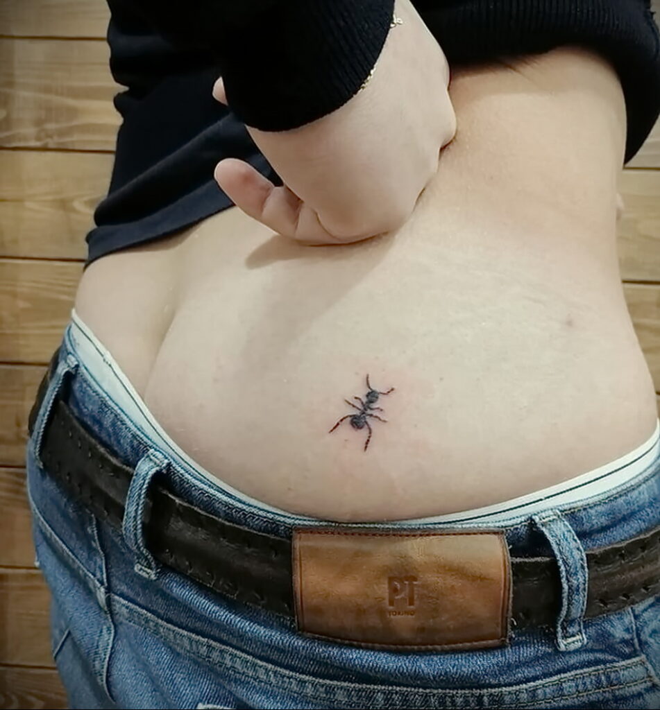 Фото пример рисунка татуировки с муравьем 21.03.2021 №042 - ant tattoo - tatufoto.com