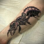 Фото пример рисунка татуировки с муравьем 21.03.2021 №043 - ant tattoo - tatufoto.com