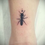 Фото пример рисунка татуировки с муравьем 21.03.2021 №044 - ant tattoo - tatufoto.com