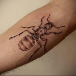 Фото пример рисунка татуировки с муравьем 21.03.2021 №045 - ant tattoo - tatufoto.com