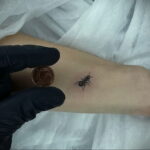 Фото пример рисунка татуировки с муравьем 21.03.2021 №050 - ant tattoo - tatufoto.com
