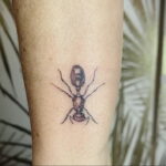 Фото пример рисунка татуировки с муравьем 21.03.2021 №052 - ant tattoo - tatufoto.com