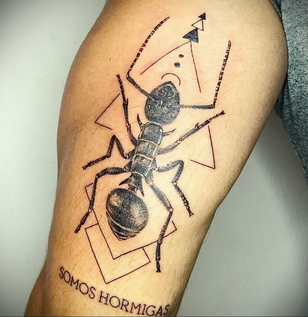 Фото пример рисунка татуировки с муравьем 21.03.2021 №056 - ant tattoo - tatufoto.com