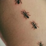 Фото пример рисунка татуировки с муравьем 21.03.2021 №062 - ant tattoo - tatufoto.com