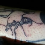 Фото пример рисунка татуировки с муравьем 21.03.2021 №063 - ant tattoo - tatufoto.com