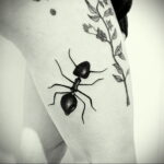 Фото пример рисунка татуировки с муравьем 21.03.2021 №067 - ant tattoo - tatufoto.com