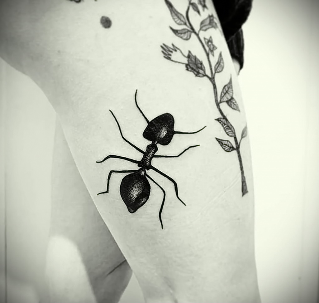 Фото пример рисунка татуировки с муравьем 21.03.2021 №067 - ant tattoo - tatufoto.com