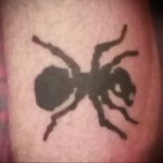 Фото пример рисунка татуировки с муравьем 21.03.2021 №070 - ant tattoo - tatufoto.com