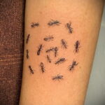Фото пример рисунка татуировки с муравьем 21.03.2021 №072 - ant tattoo - tatufoto.com