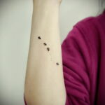Фото пример рисунка татуировки с муравьем 21.03.2021 №076 - ant tattoo - tatufoto.com