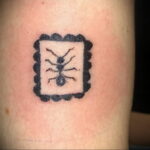 Фото пример рисунка татуировки с муравьем 21.03.2021 №081 - ant tattoo - tatufoto.com