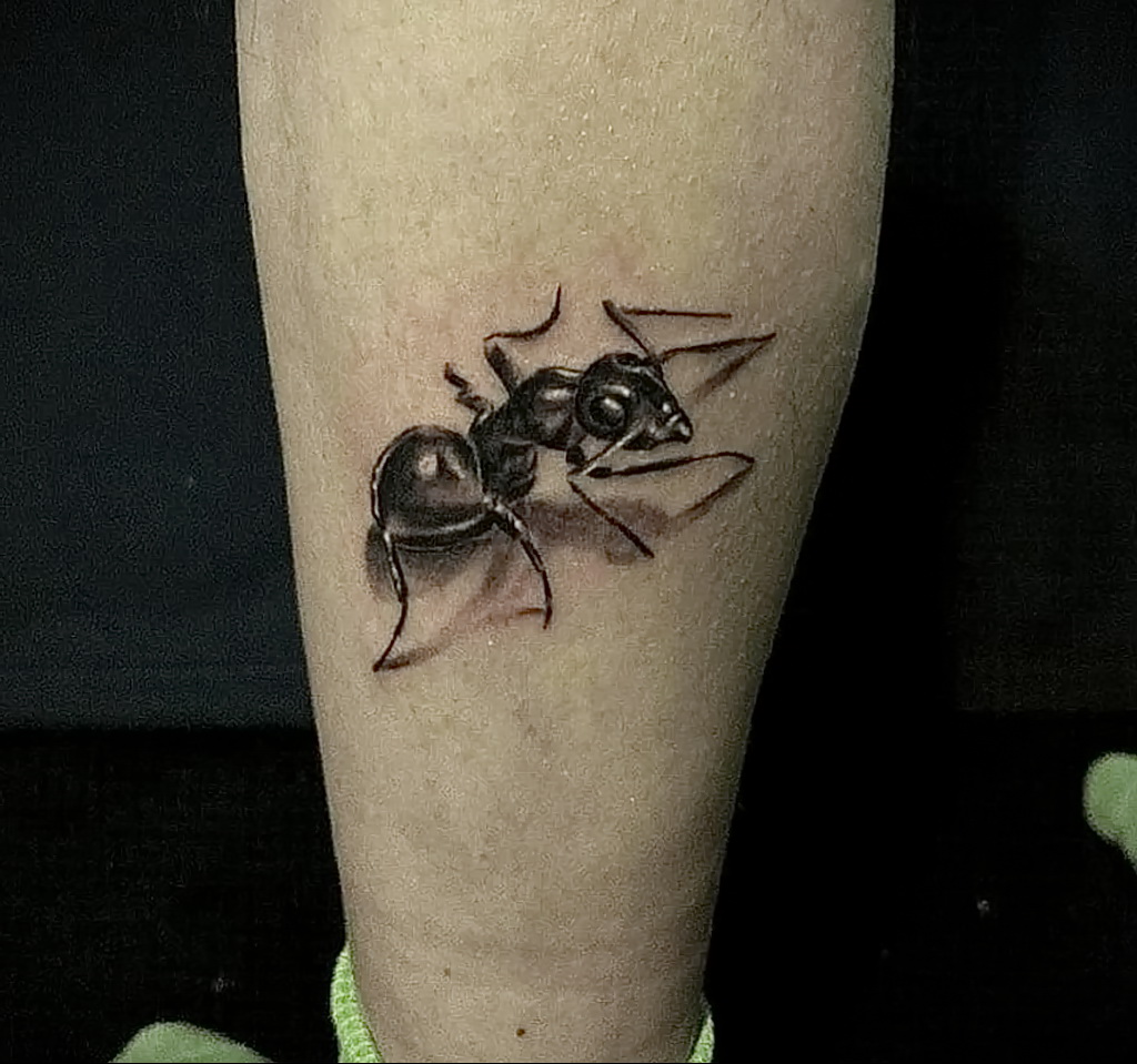Фото пример рисунка татуировки с муравьем 21.03.2021 №086 - ant tattoo - tatufoto.com