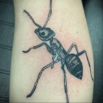 Фото пример рисунка татуировки с муравьем 21.03.2021 №090 - ant tattoo - tatufoto.com
