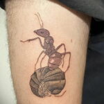 Фото пример рисунка татуировки с муравьем 21.03.2021 №095 - ant tattoo - tatufoto.com