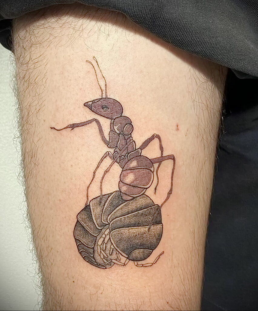Фото пример рисунка татуировки с муравьем 21.03.2021 №095 - ant tattoo - tatufoto.com