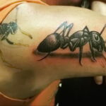 Фото пример рисунка татуировки с муравьем 21.03.2021 №098 - ant tattoo - tatufoto.com