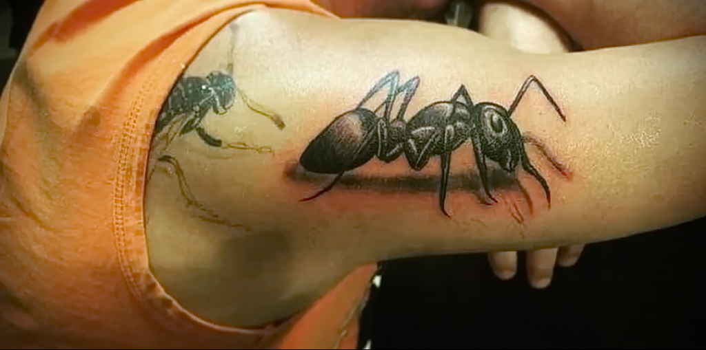 Фото пример рисунка татуировки с муравьем 21.03.2021 №098 - ant tattoo - tatufoto.com