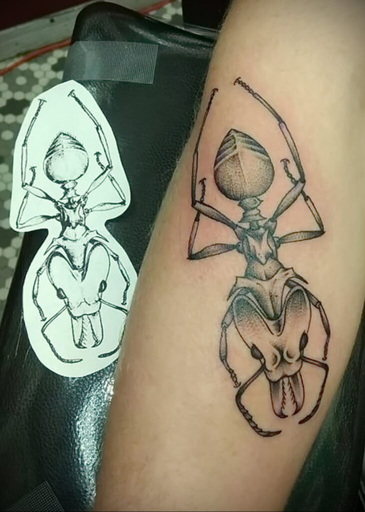 Фото пример рисунка татуировки с муравьем 21.03.2021 №099 - ant tattoo - tatufoto.com