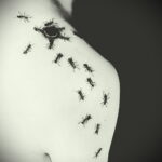 Фото пример рисунка татуировки с муравьем 21.03.2021 №112 - ant tattoo - tatufoto.com