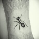 Фото пример рисунка татуировки с муравьем 21.03.2021 №113 - ant tattoo - tatufoto.com