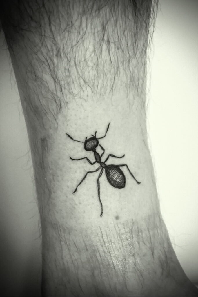 Фото пример рисунка татуировки с муравьем 21.03.2021 №113 - ant tattoo - tatufoto.com