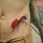 Фото пример рисунка татуировки с муравьем 21.03.2021 №116 - ant tattoo - tatufoto.com