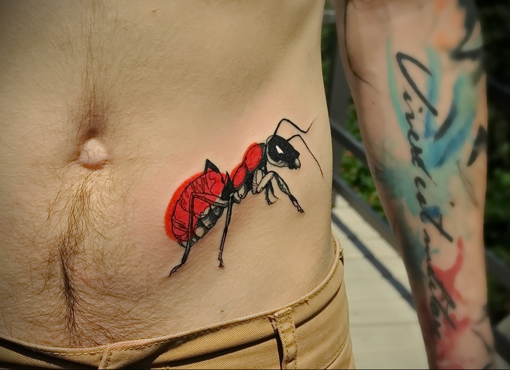 Фото пример рисунка татуировки с муравьем 21.03.2021 №116 - ant tattoo - tatufoto.com