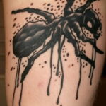 Фото пример рисунка татуировки с муравьем 21.03.2021 №117 - ant tattoo - tatufoto.com