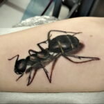 Фото пример рисунка татуировки с муравьем 21.03.2021 №119 - ant tattoo - tatufoto.com