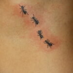 Фото пример рисунка татуировки с муравьем 21.03.2021 №120 - ant tattoo - tatufoto.com