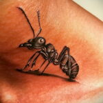 Фото пример рисунка татуировки с муравьем 21.03.2021 №121 - ant tattoo - tatufoto.com