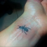Фото пример рисунка татуировки с муравьем 21.03.2021 №122 - ant tattoo - tatufoto.com