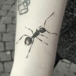 Фото пример рисунка татуировки с муравьем 21.03.2021 №129 - ant tattoo - tatufoto.com