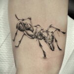 Фото пример рисунка татуировки с муравьем 21.03.2021 №134 - ant tattoo - tatufoto.com