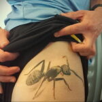 Фото пример рисунка татуировки с муравьем 21.03.2021 №137 - ant tattoo - tatufoto.com