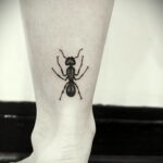 Фото пример рисунка татуировки с муравьем 21.03.2021 №140 - ant tattoo - tatufoto.com