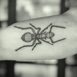 Фото пример рисунка татуировки с муравьем 21.03.2021 №145 - ant tattoo - tatufoto.com